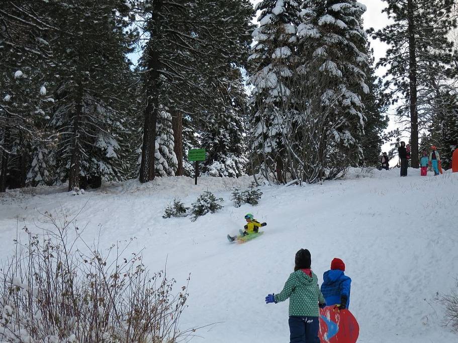 sled hill TT
