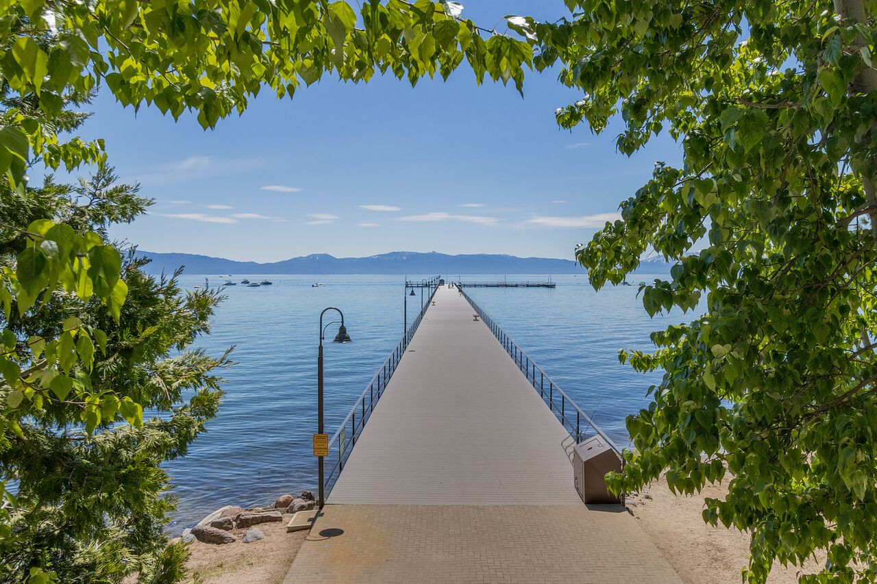 HOA_TT pier with trees